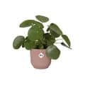Miniatyrbillede 3 af 6: ELHO Vibes Fold Runde Urtepottehjul 35 - Pink - Ø 35 x H 32 cm - Indendørs - 100% genbrugt