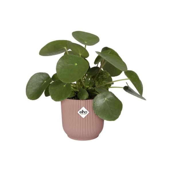 ELHO Vibes Fold Runde Urtepottehjul 35 - Pink - Ø 35 x H 32 cm - Indendørs - 100% genbrugt