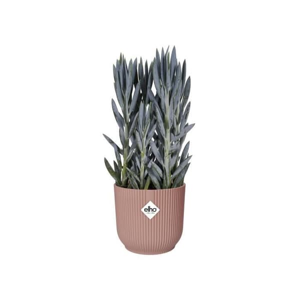 ELHO Vibes Fold Runde Urtepottehjul 35 - Pink - Ø 35 x H 32 cm - Indendørs - 100% genbrugt