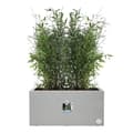 Miniatyrbillede 3 af 6: Elho Vivo Next Long 60 blomsterkasse - Grå - L 59 x B 30 x H 29 cm - Indendørs/Udendørs - 100% genbrugt