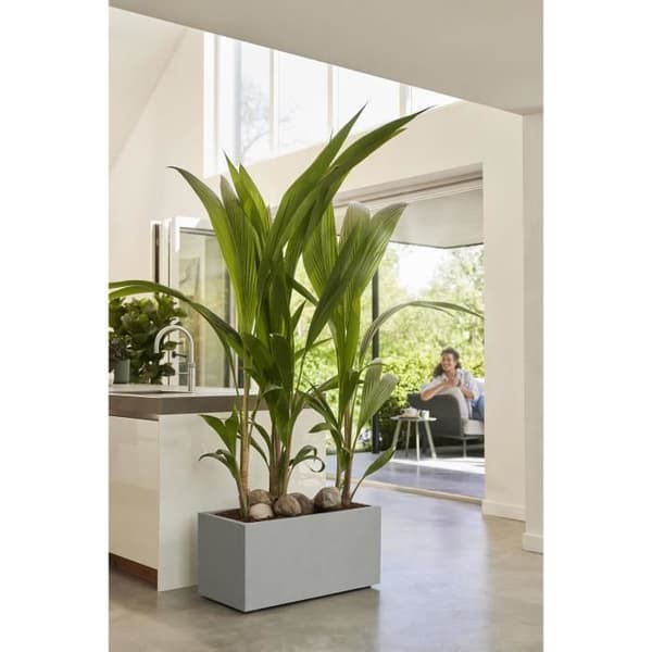 Elho Vivo Next Long 60 blomsterkasse - Grå - L 59 x B 30 x H 29 cm - Indendørs/Udendørs - 100% genbrugt