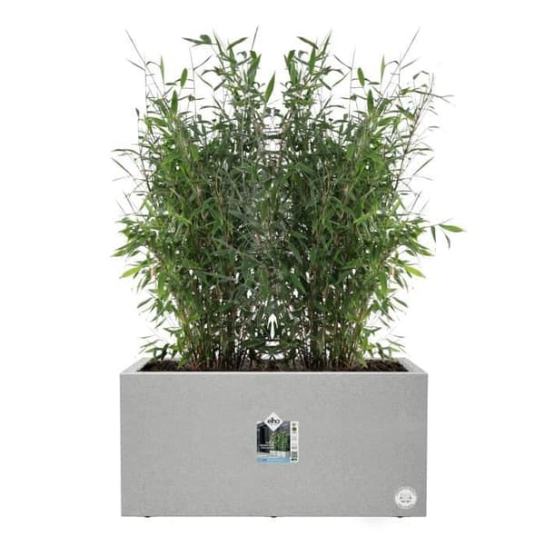 Elho Vivo Next Long 80 blomsterkasse - Grå - L 78 x B 39 x H 38 cm - indendørs/udendørs - 100% genbrugt
