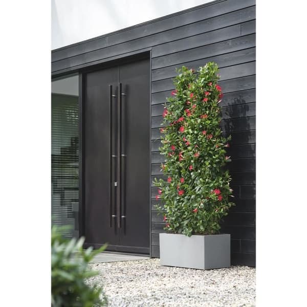 Elho Vivo Next Long 80 blomsterkasse - Grå - L 78 x B 39 x H 38 cm - indendørs/udendørs - 100% genbrugt
