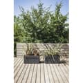 Miniatyrbillede 6 af 6: EDA Jardiniere - CAREL - Antracitgrå - 63 L - 78 x 39 x H.39 cm - Med hjul - Udendørs eller indendørs