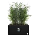 Miniatyrbillede 3 af 6: Elho Vivo Next Long 80 blomsterkasse - Sort - L 78 x B 39 x H 38 cm - indendørs/udendørs - 100% genbrugt