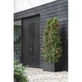 Miniatyrbillede 4 af 6: Elho Vivo Next Long 80 blomsterkasse - Sort - L 78 x B 39 x H 38 cm - indendørs/udendørs - 100% genbrugt