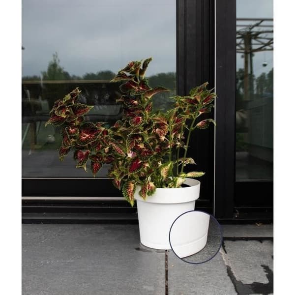 Självbevattnande kruka - GARDEN ID Glamour - Vit 40 cm - Kornig yta - Inomhus/utomhus - Snygg design.
