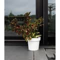Miniatyrbild 1 av 2: Självbevattnande kruka - GARDEN ID Glamour - Vit 40 cm - Kornig yta - Inomhus/utomhus - Snygg design.
