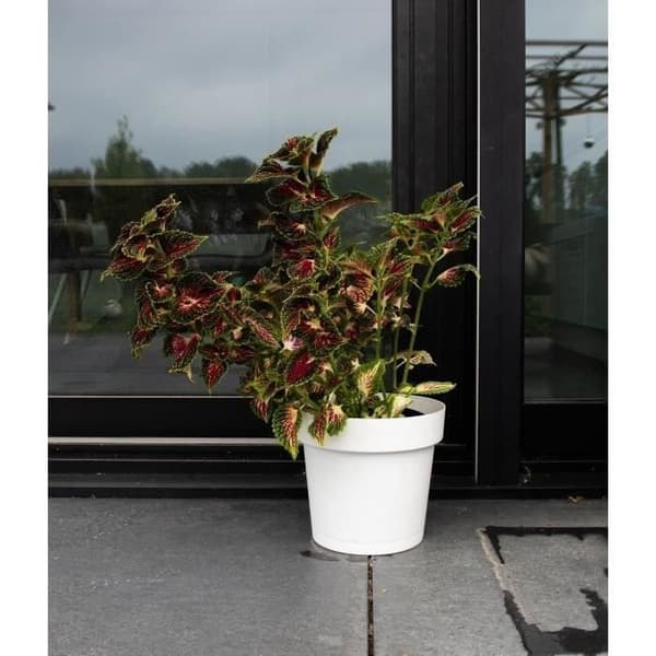 Självbevattnande kruka - GARDEN ID Glamour - Vit 40 cm - Kornig yta - Inomhus/utomhus - Snygg design.