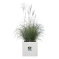 Miniatyrbillede 2 af 4: Elho Vivo Next Square 30 blomsterkasse - hvid - Ø 30 x H 29 cm - indendørs/udendørs - 100% genbrugt