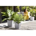 Pikkukuva 2 / 4: ELHO-kukkaruukku - Greensense Aqua Care Square 38 - vaalea betoni - sisä-/ulkokäyttöön - Ø 38 x K 38,9 cm
