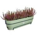 Miniatyrbillede 3 af 5: Elho Vibia Campana Balkon Allin1 70 - Grøn - L 70 x B 26 x H 17 cm - Balkon - 100% genbrugt