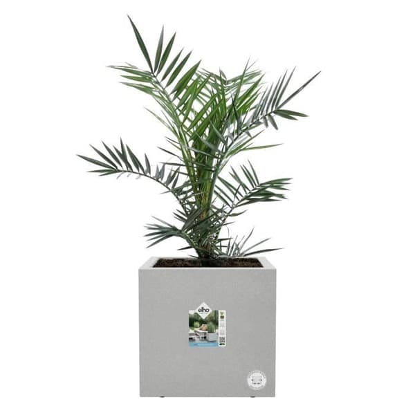 Elho Vivo Next Square 30 blomsterkasse - Grå - Ø 30 x H 29 cm - indendørs/udendørs - 100% genbrugt