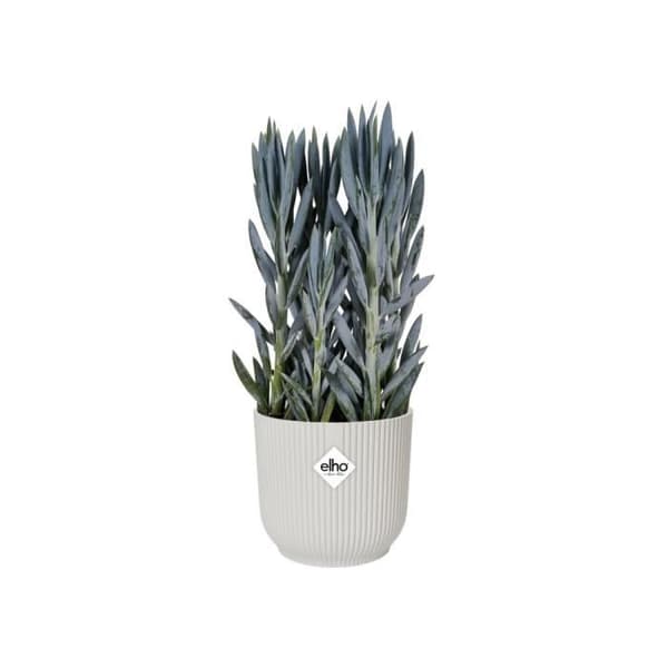 ELHO Vibes Fold Runde Urtepottehjul 35 - Hvid - Ø 35 x H 32 cm - Indendørs - 100% genbrugt
