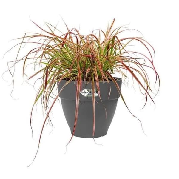 Elho Vibia Campana pyöreä kukkalaatikko 55 - musta - Ø 55 x K 47 cm - ulkokäyttöön - 100 % kierrätetty