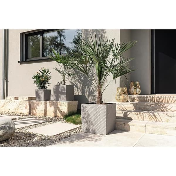 LECHUZA Cube Cottage 50 blomkruka - komplett set, sandbrun