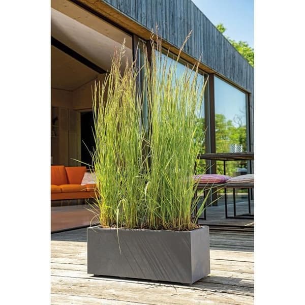 Gasgrill - KOLKÅR - PALMA - 4 brännare - 69 X 51 X 35 cm - Svart