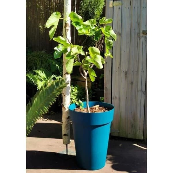 RIVIERA SOLEILLA blomlåda - Plast - Höjd 53 cm - Blå