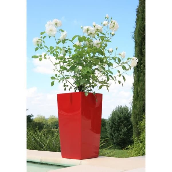 RIVIERA Nuance Urtepotte - Firkantet - 29 x 29 x H 52 cm - Rød