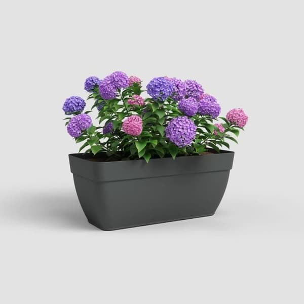 Capri Campana XL Garden - Muovi - 80 cm - Antrasiitti - Artevasi