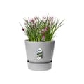 Miniatyrbild 3 av 6: ELHO Greenville 25 Rund Blomkruka - Utomhus - Ø 24,48 x H 23,31 cm - Living Betonggrå