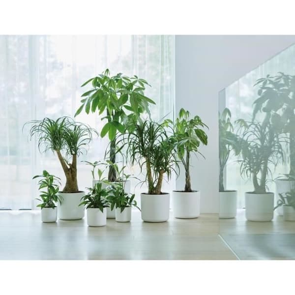 ELHO B.för mjuk rund blomkruka 35 - Vit - Ø 35 x H 32 cm - insida - 100% återvunnen