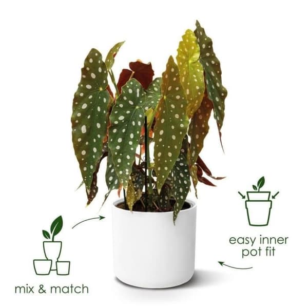 ELHO B.för mjuk rund blomkruka 35 - Vit - Ø 35 x H 32 cm - insida - 100% återvunnen