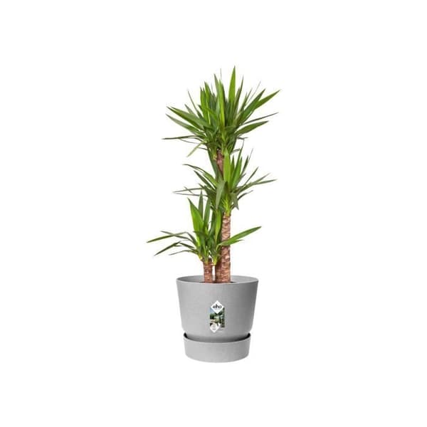 ELHO Greenville 30 runda blomkrukor - Utomhus - Ø 29,5 x H 27,8 cm - Living betong grå