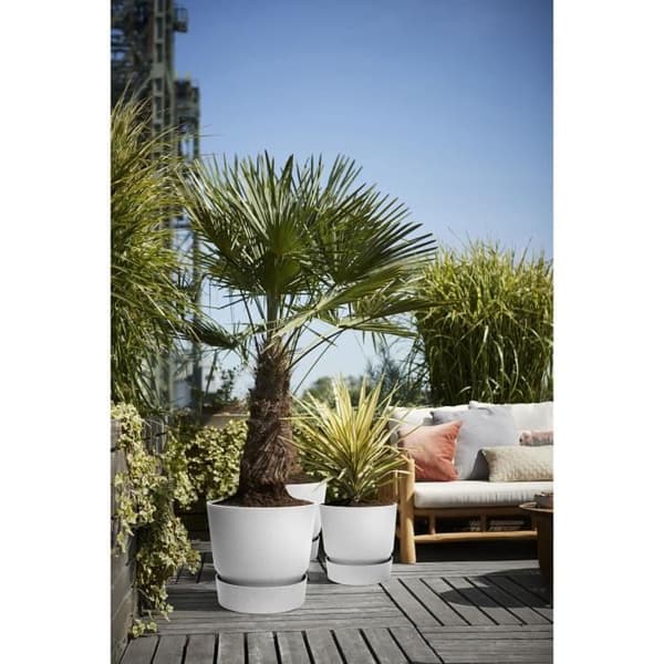 ELHO Greenville 30 runda blomkrukor - Utomhus - Ø 29,5 x H 27,8 cm - Living betong grå