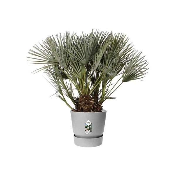 ELHO Greenville 40 Rund Blomkruka - Utomhus - Ø 39 x H 36,8 cm - Living Betonggrå