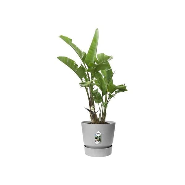 ELHO rund blomkruka Greenville 47 - Utomhus - Ø 47 x H 44,1 cm - Living betonggrå