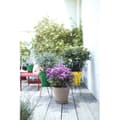 Miniatyrbillede 3 af 5: ELHO Loft Urban 25 Rund Blomsterpotte - Udendørs - Ø 24,5 x H 22,2 cm - Okker Gul