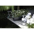 Pikkukuva 3 / 4: ELHO Green Basics 60 -istutuslaatikko - Living Black - ulkokäyttöön - XXL - P 29,5 x L 59,2 x K 27,7 cm