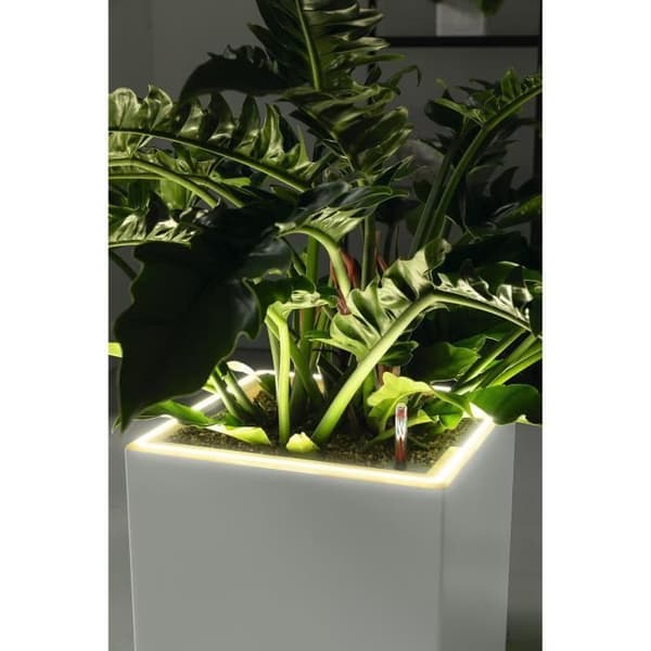 LECHUZA Canto Premium Cube 40 -kukkaruukku - täydellinen LED-setti, metallinen antrasiitti