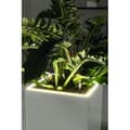 Pikkukuva 5 / 5: LECHUZA Canto Premium Cube 40 -kukkaruukku - täydellinen LED-setti, metallinen antrasiitti