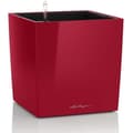 Miniatyrbillede 1 af 5: LECHUZA Cube Premium 40 blomsterpotte - komplet sæt, blank skarlagenrød