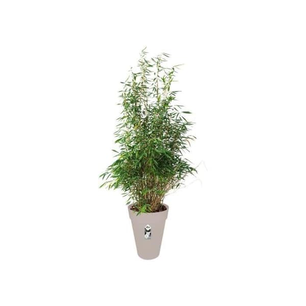 ELHO Loft Urban Tall 42 rund urtepotte - Grå - Ø 42 x H 56 cm - udendørs