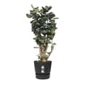 Miniatyrbillede 5 af 6: ELHO Greenville 40 runde blomsterpotte - Udendørs - Ø 39 x H 36,8 cm - Sort bolig