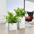 Miniatyrbillede 5 af 5: LECHUZA Canto Premium Column 40 blomsterpotte - komplet sæt. metallisk sølv