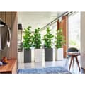 Miniatyrbillede 2 af 5: LECHUZA Canto Premium Column 40 blomsterpotte - komplet sæt. metallisk sølv