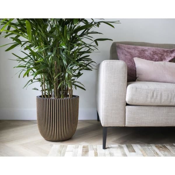 Kugleformet urtepotte - CAPI EUROPE - GROOVE NL - 35 x 34 cm - Sort / Guld