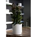 Pikkukuva 2 / 2: PLASTIKEN Kukkaruukku vesisäiliöllä - Hidrojardinera - Ø38 cm - Valkoinen