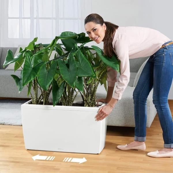 LECHUZA Cararo Premium urtepotte - komplet sæt, blank taupe