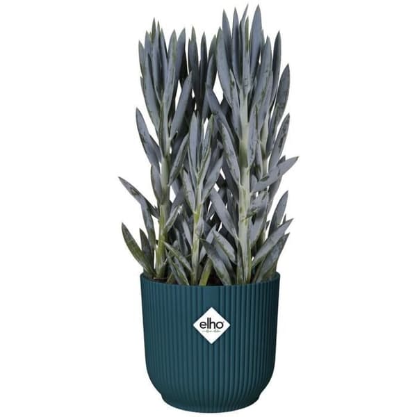 VIBES Rund Blomsterpotte - Plastik - Ø22 - Mørkeblå