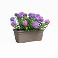 Miniatyrbillede 2 af 2: Plantemaskine - ARTEVASI - VENEZIA L SWS - 60 ma - Taupe