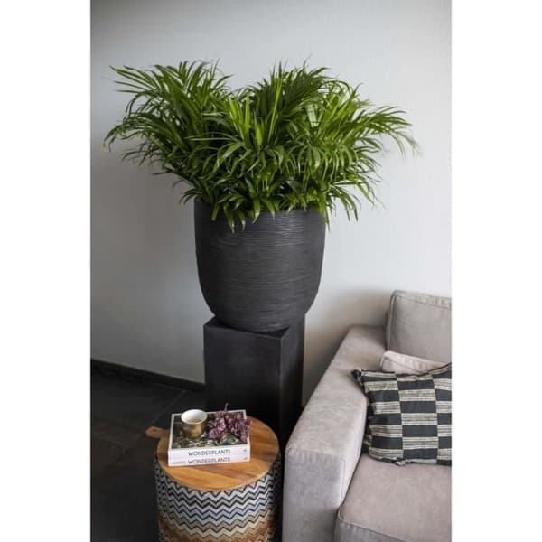 Capi Jardiniere Natur Rib 54 x 52 cm Sort KBLR935