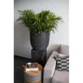 Miniatyrbillede 3 af 4: Capi Jardiniere Natur Rib 54 x 52 cm Sort KBLR935