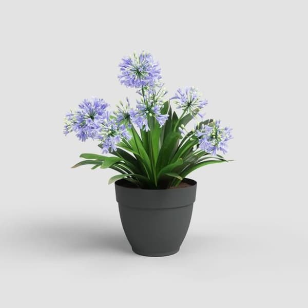 CAPRI CAMPANA POTTE 35CM ANTRACIT