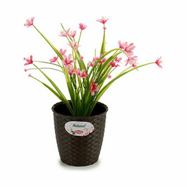 Kruka Stefanplast Plast 14 x 13 x 14 cm (12 antal)