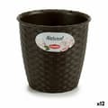 Miniatyrbild 1 av 3: Kruka Stefanplast Plast 14 x 13 x 14 cm (12 antal)
